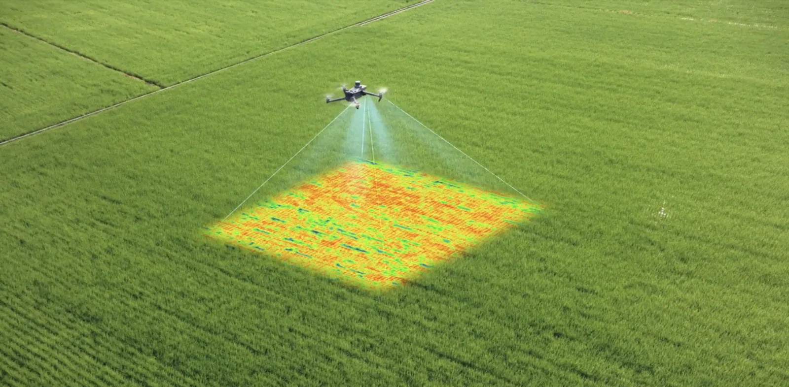 Panel con cuatro mapas de índices espectrales (NDVI, NDRE, GNDVI y color real) generados a partir de un vuelo con dron multiespectral