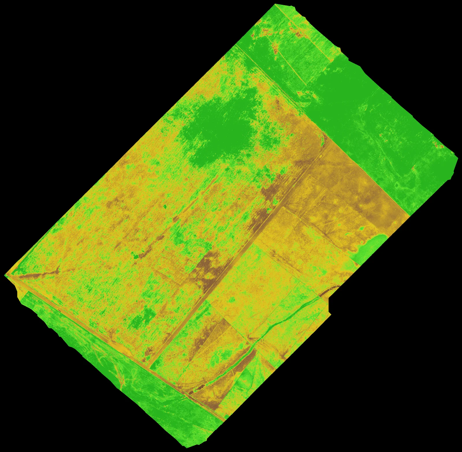 Mapa NDVI de un lote real procesado con dron multiespectral, con zonas en verde (cultivo vigoroso) y rojo (baja cobertura) que permiten identificar diferencias de estado