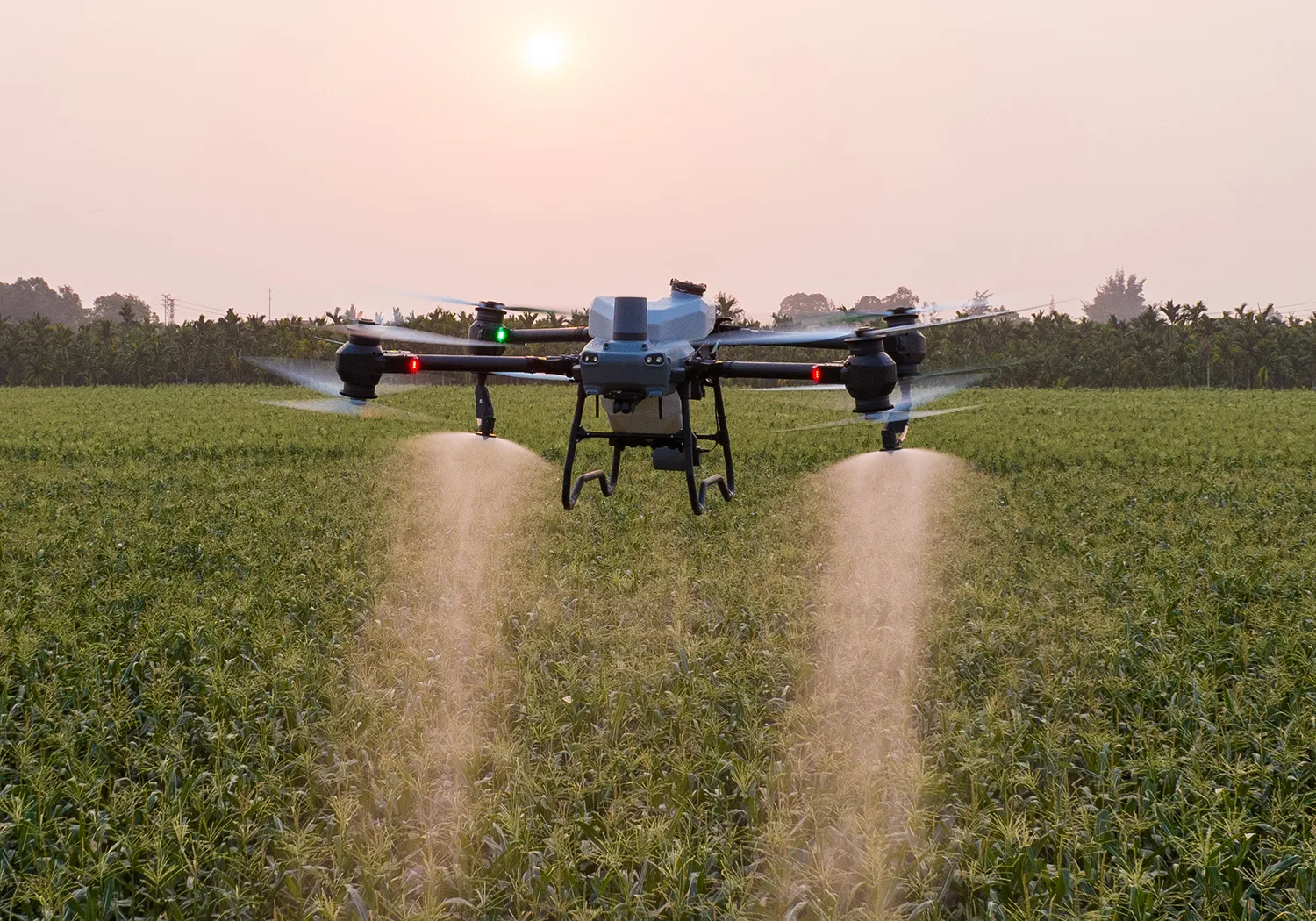 Aplicación con dron pulverizador sobre un lote al atardecer